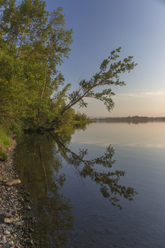 Reflection / ***