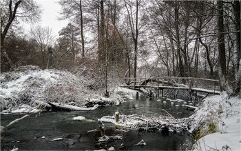 Winter / ***