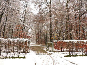 Winter sketches / ***