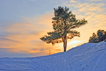Winter sketches / ***