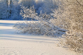 Winter sketches / ***