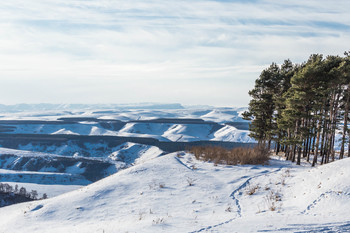 Winter sketches / ***