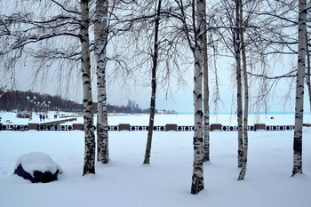 Winter sketches / ***