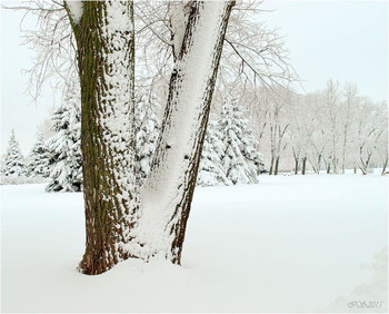 Winter-Skizzen / ***