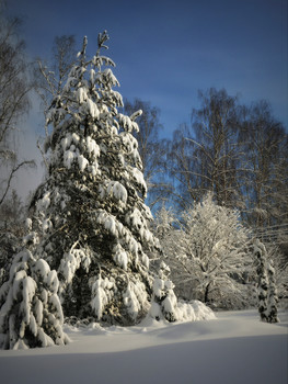 Winter-Skizzen / 2018