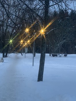 Winter sketches / ***