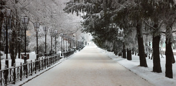 Winter sketches / ***