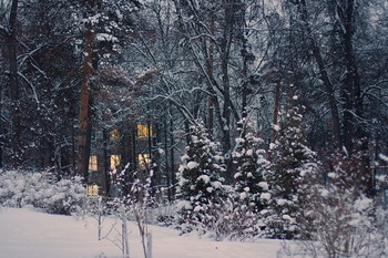 Winter sketches / ***