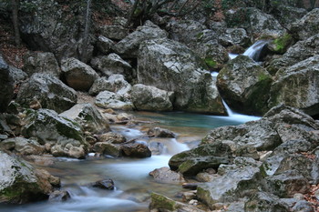 Creek / ***