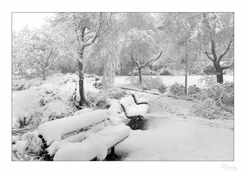 Winter sketches / ***