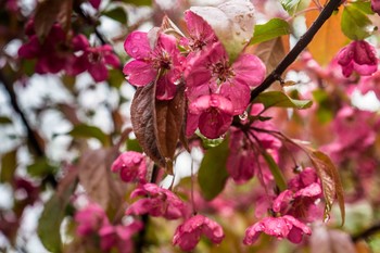 Spring / ***