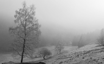 In den dichten Nebel / ***