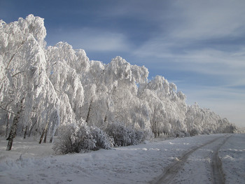 The January landscape / ***