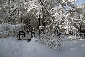 winter has come / ***