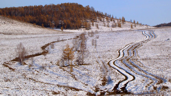 The first snow ... / ***