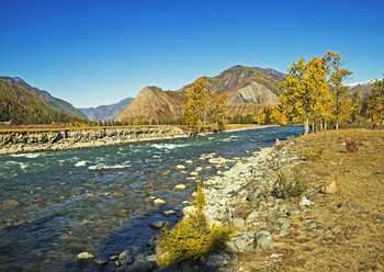 Altay / ***