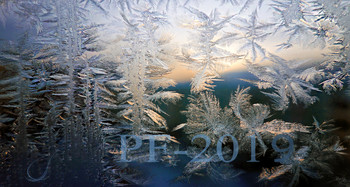 PF-2019 / ***