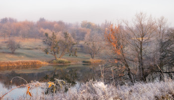 The first frosts / #PF-2019