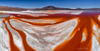 The Veins of the Earth / ***