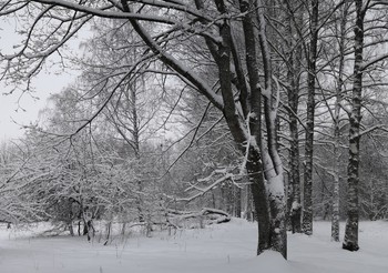 Gerade im Winter / ***