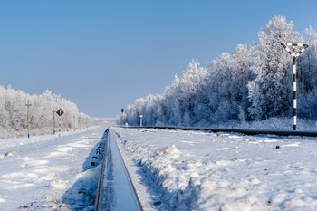 On the road in winter / ***