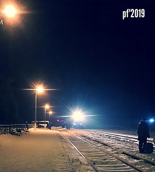pf'2019 / ***