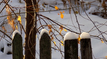 Der erste Schnee / ***