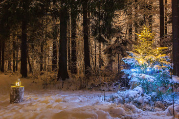 HAPPY NEW YEAR! / ***