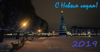 Happy New Year! / ***