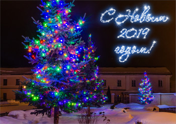 Happy New Year! / ***