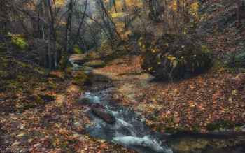 Herbst Wanderung / ***