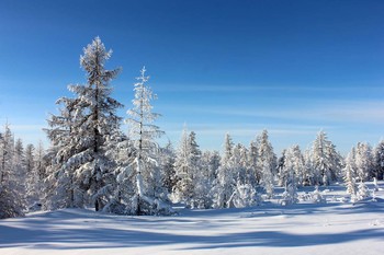 Winterlandschaft / ***