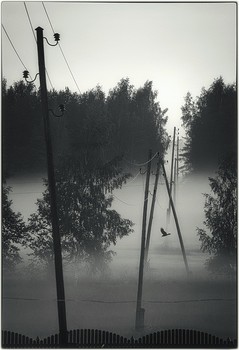 &nbsp; / 2012
