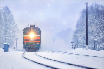 Im Schneesturm / samyang 135mm f2