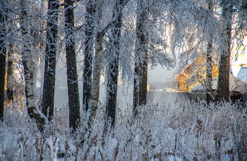 FROHE WEIHNACHTEN!!! / ***