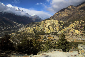 Himalaya / ***