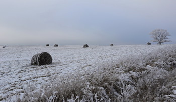 Frost / ***