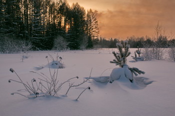 Winter evening / ***