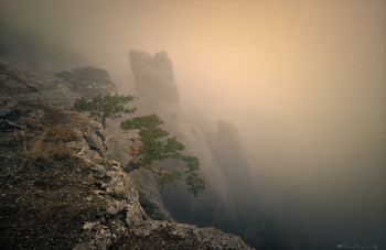 Ghostly all ... / ***