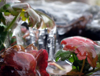 Ice-Bound / ***