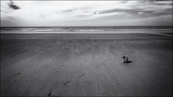 sand / ***