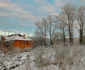 when the trees are big .. / ***