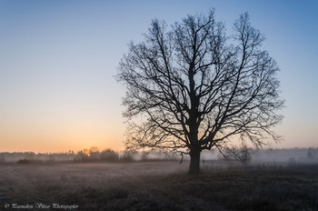 The birth of a new day / ***