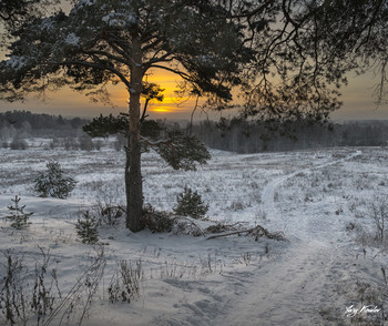 Winter Sunset / ***