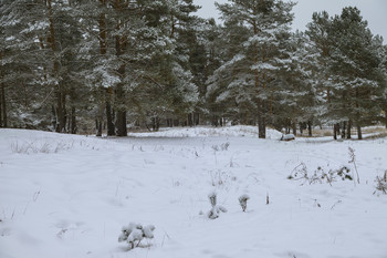 Januar ... / ***