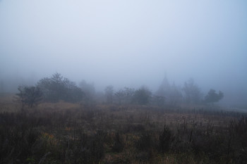 haze / ***
