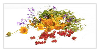 Remembering summer / ***