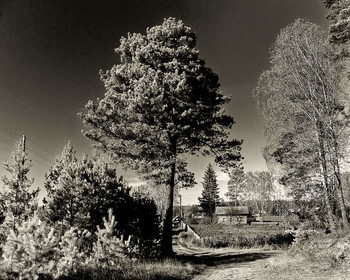 Oktober / ***