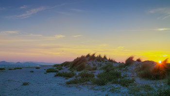 The House of the Rising Sun / ***