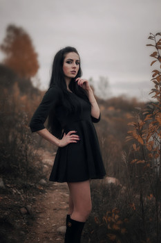 &nbsp; / ***